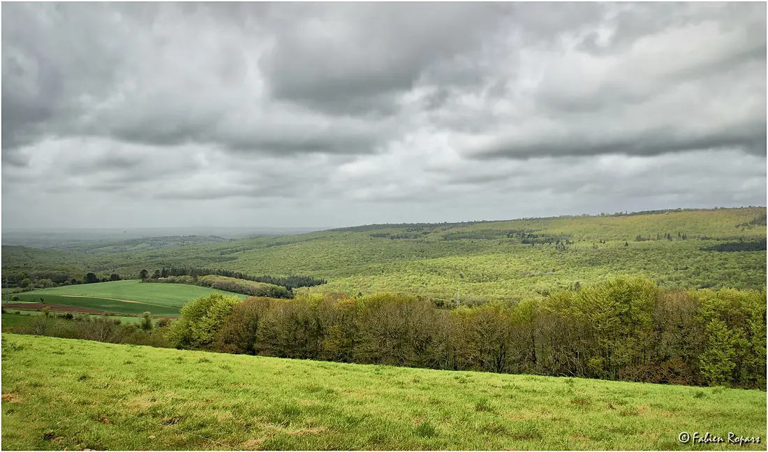 Foret Du Cranou 29 (68425689)