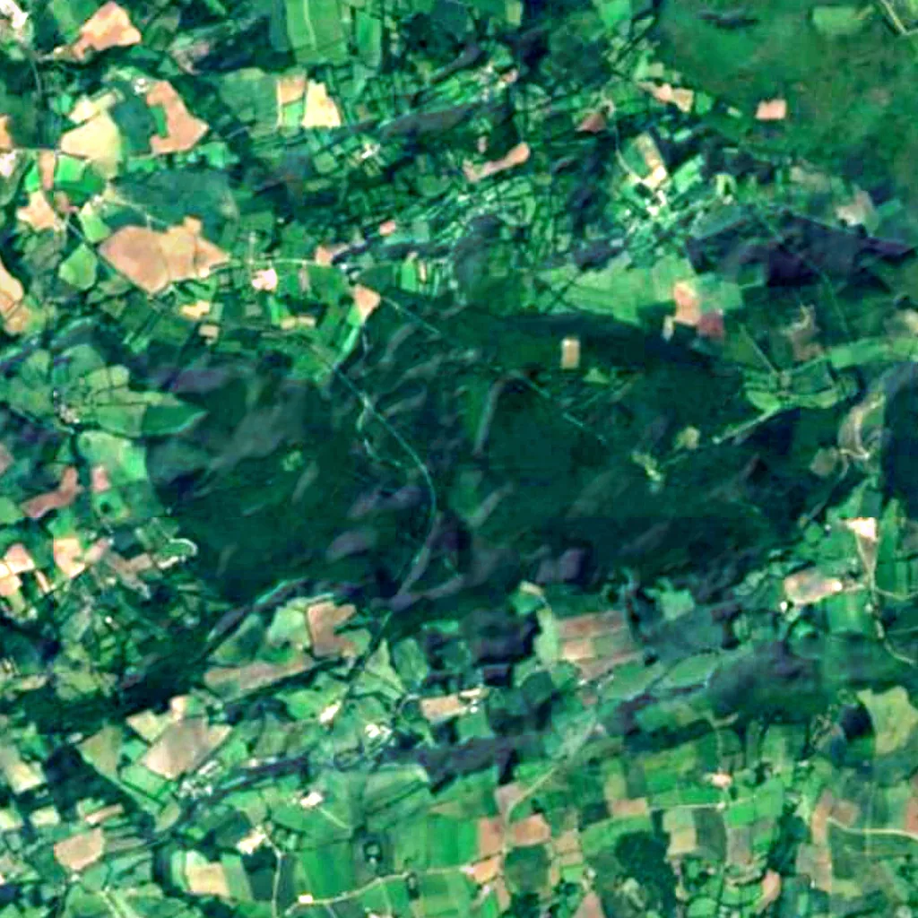 Forêt du Cranou seen from above (Sentinel-2)