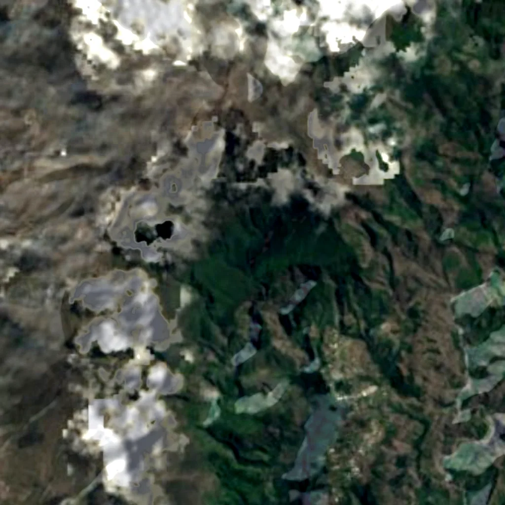 Forêt du Tapcal seen from above (Sentinel-2)