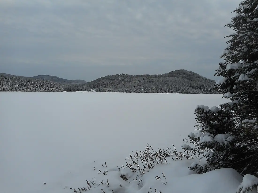 Foret Montmorency - 004