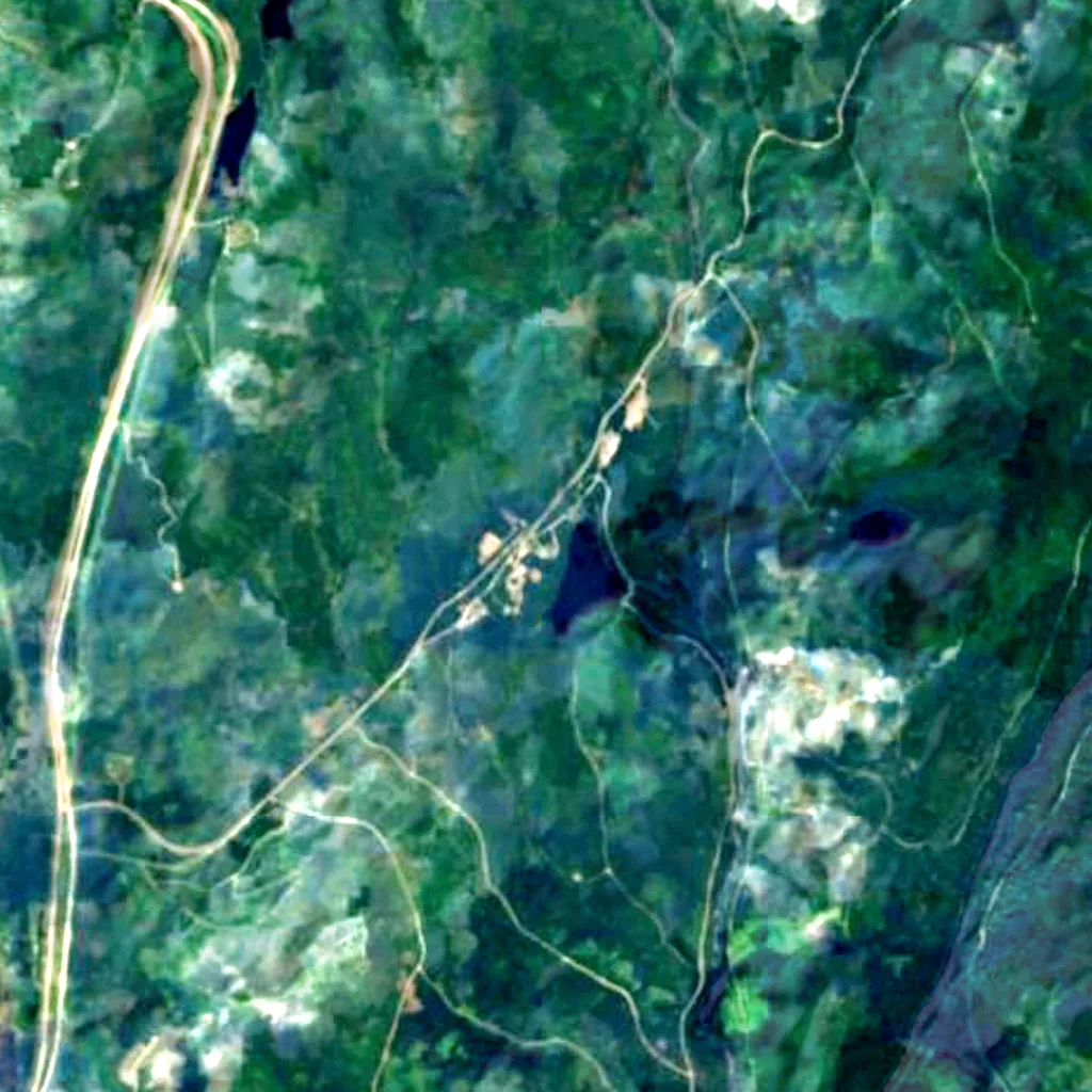 Forêt Montmorency seen from above (Sentinel-2)