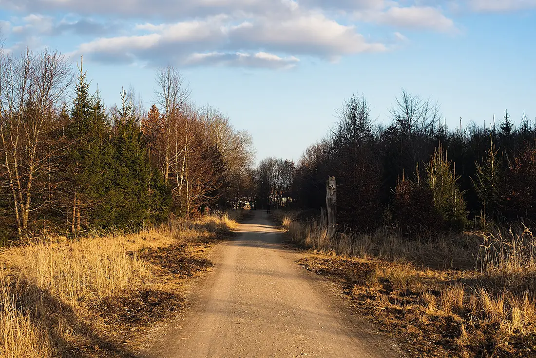 20220227 Forstenrieder Park 02