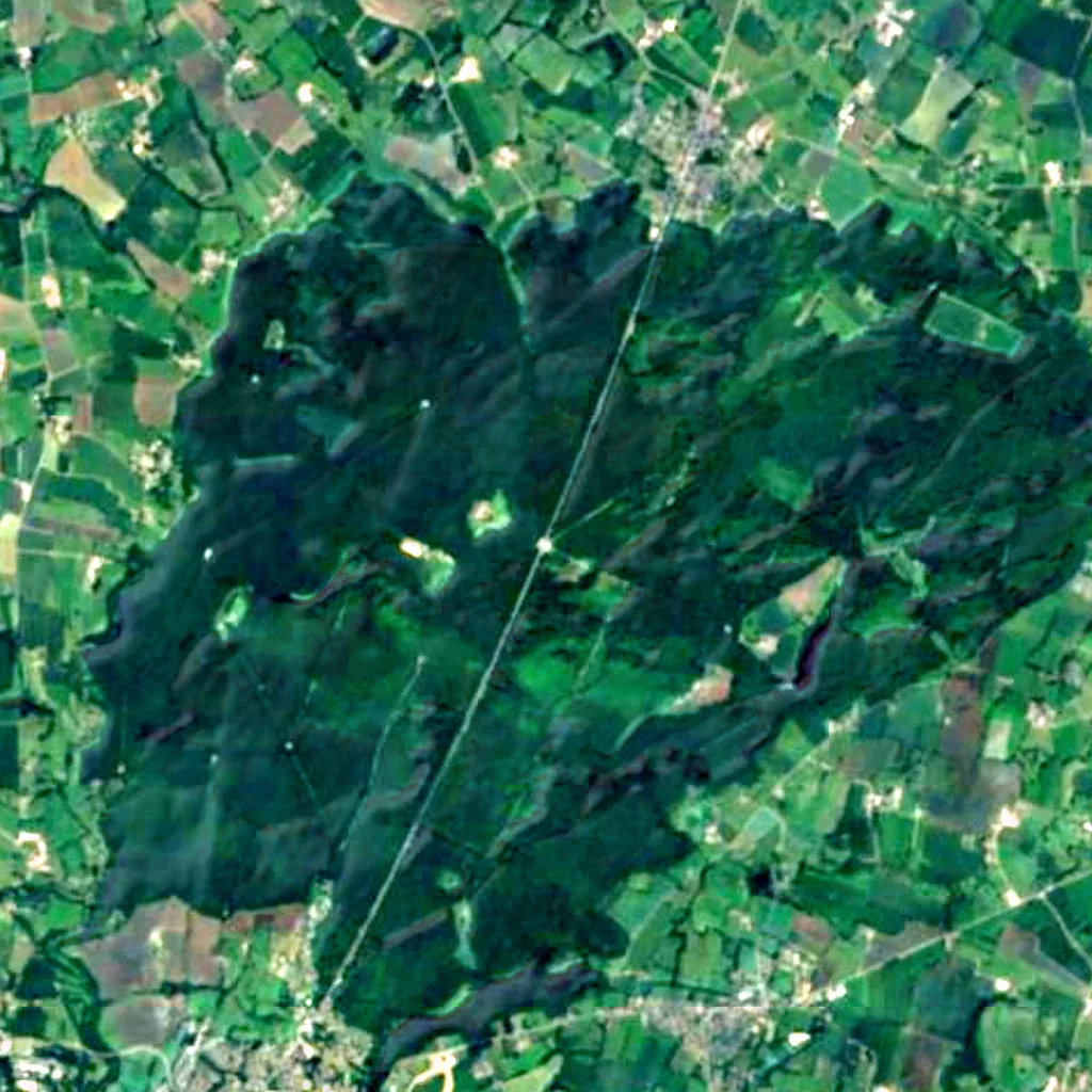 Fougères Forest seen from above (Sentinel-2)