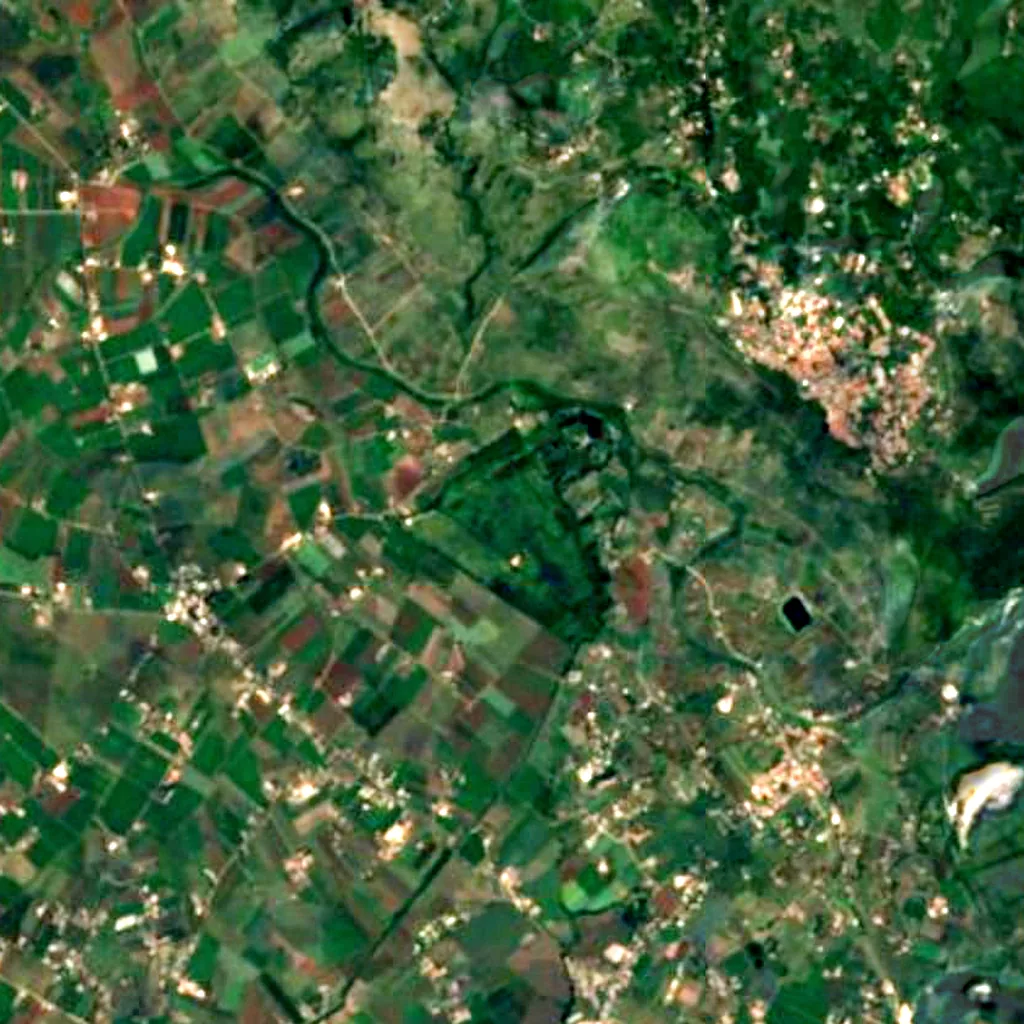 Garden of Ninfa seen from above (Sentinel-2)