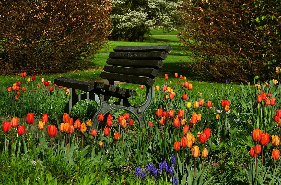 Bank in Tulpenblumen, Erholungspark Marzahn