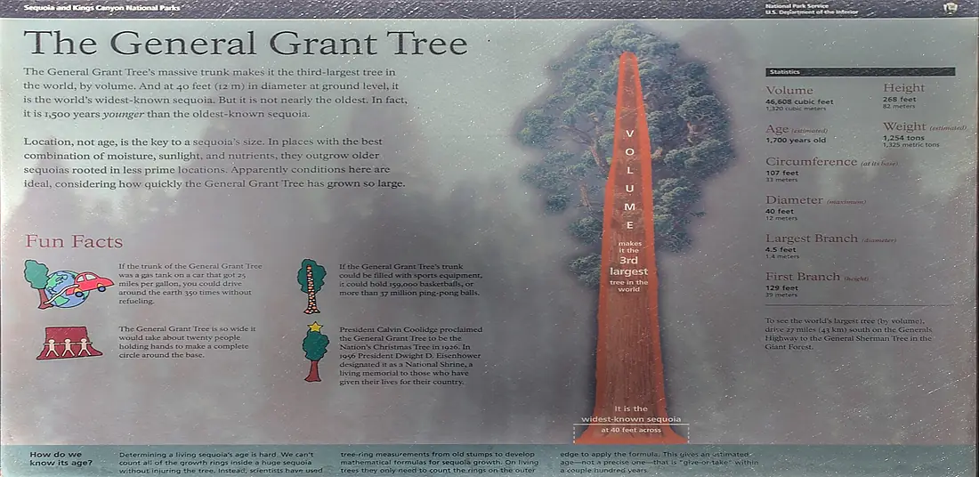 17 23 087 grant