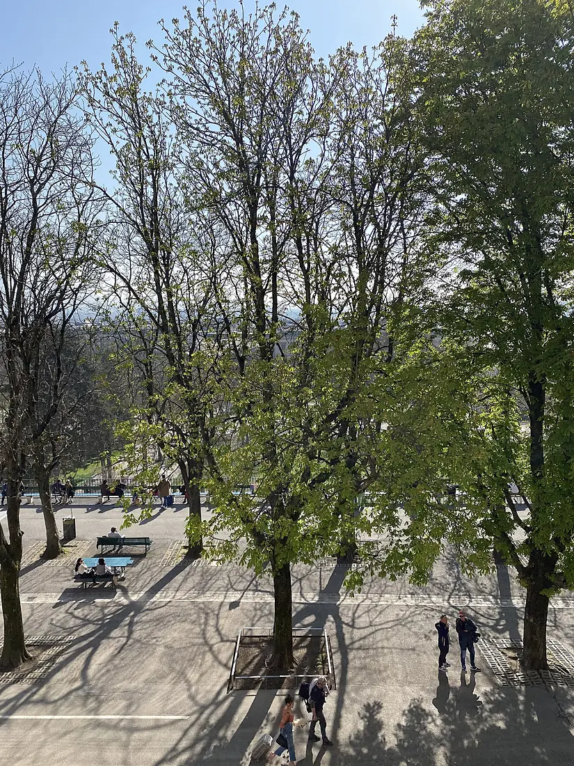 HdV Genève - Treille Centre