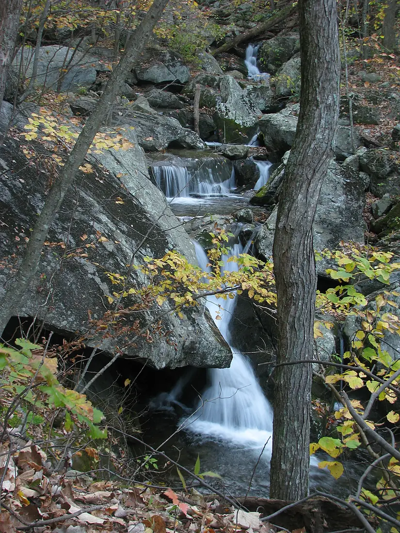 Campbell Gorge Three Ridges Wilderness