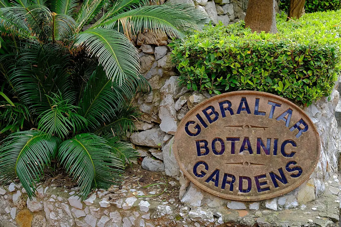 Gibraltar, Fujifilm (52024764073)