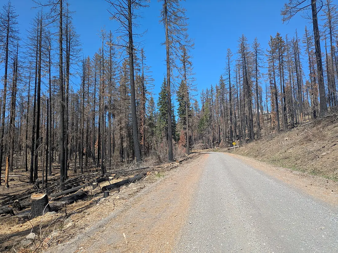 Forest Road 8040 (10632)