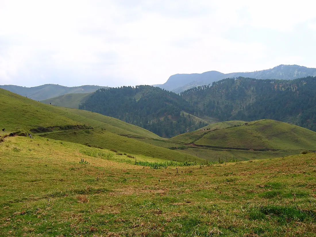 Collines de Gishwati 1