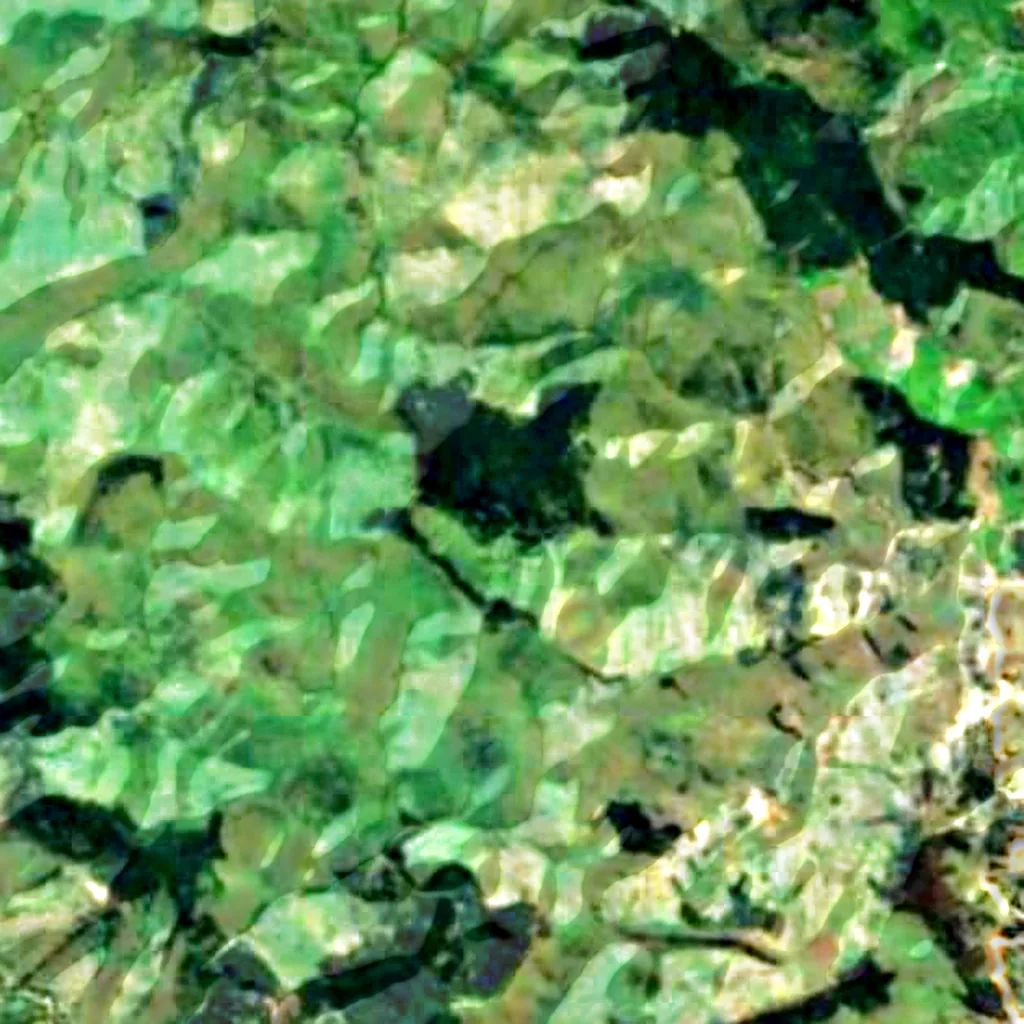 Gishwati Forest seen from above (Sentinel-2)