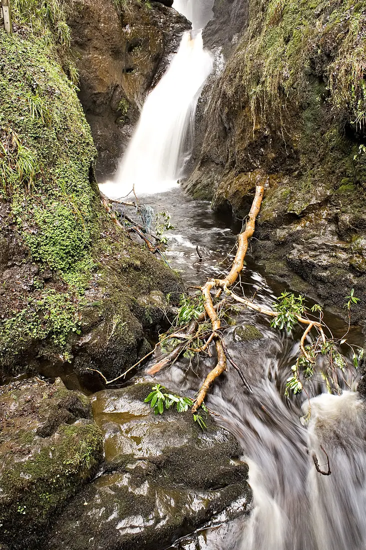 Glenariff Waterfall - Fallen Branch (4441803006)