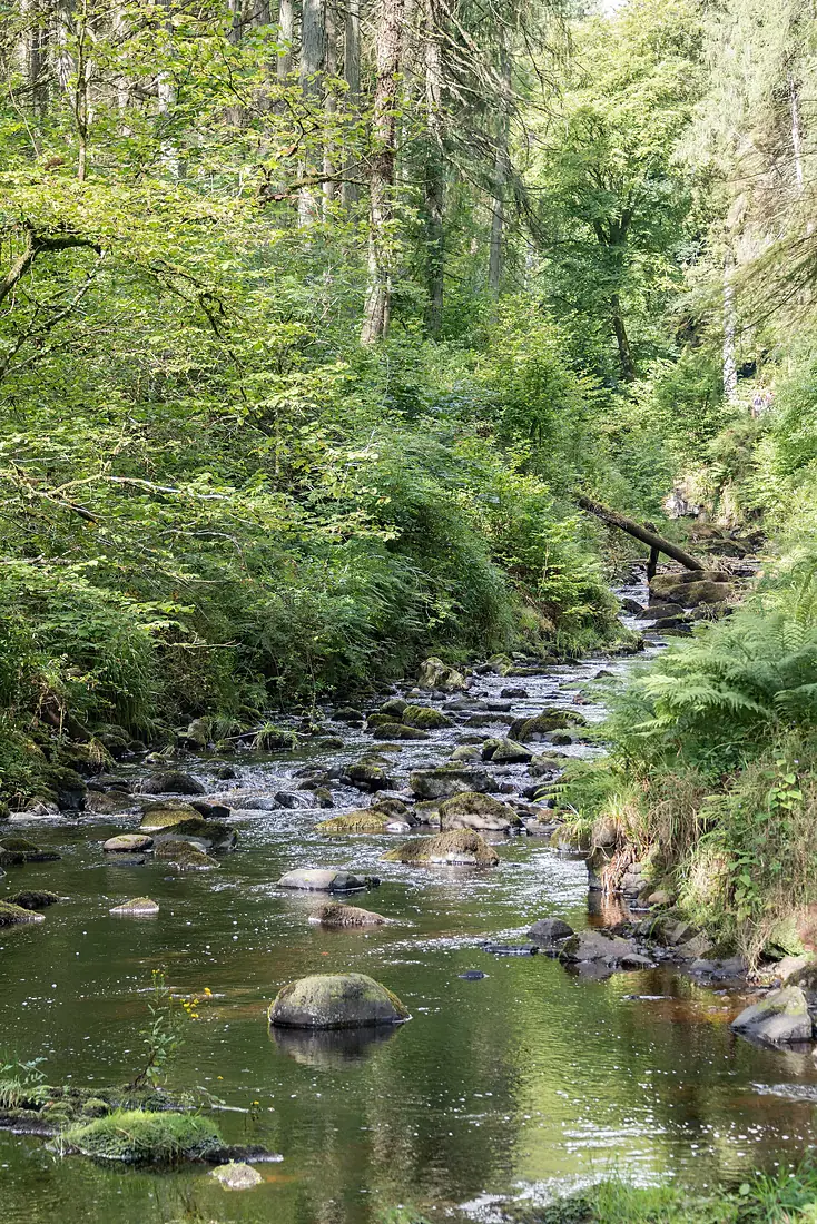 Stream - Glenariff Forest, Ballymena , Northern Ireland, UK - August 15, 2017
