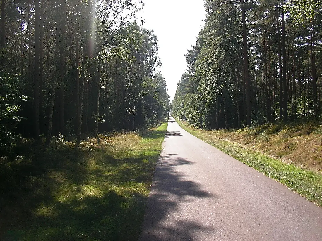 Pincerno - Göhrde