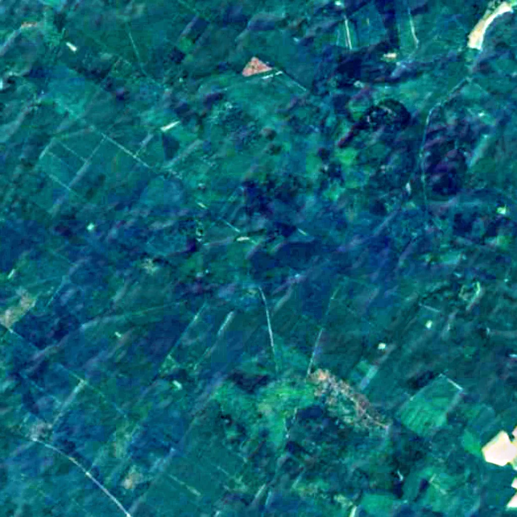 Göhrde State Forest seen from above (Sentinel-2)