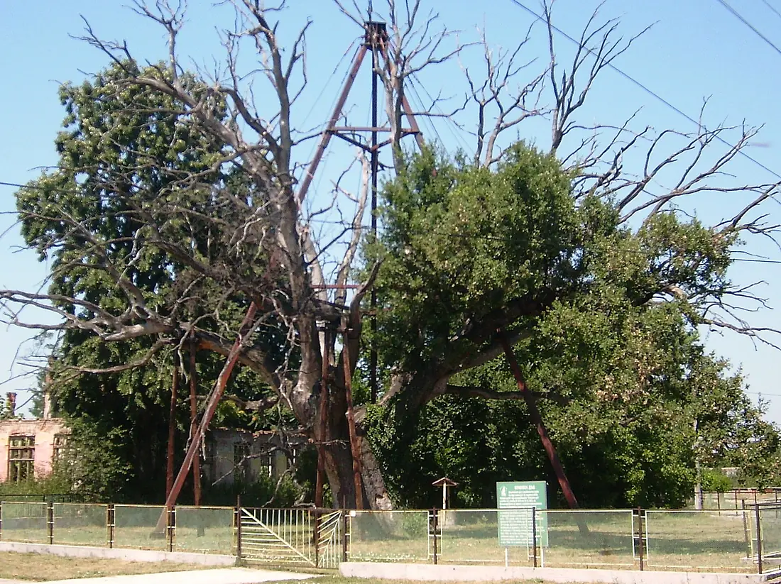 Granit Oak Bulgaria