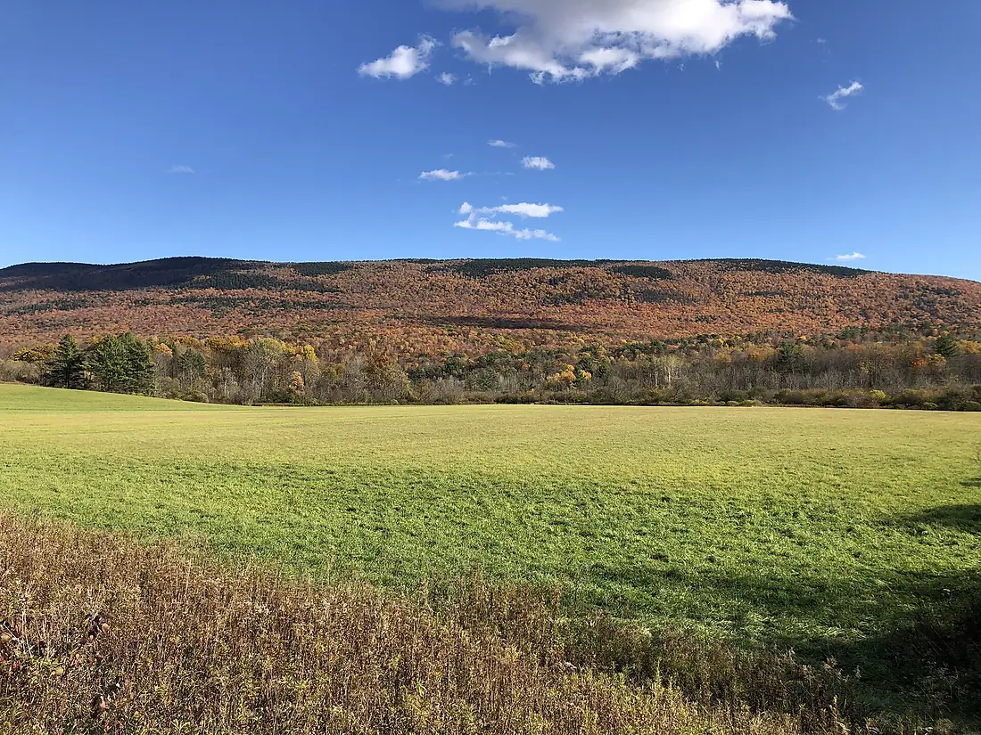 2020-10-17 15 12 39 View south towards the Green Mountain National Forest during autumn from Virginia State Route 7A in Sunderland, Bennington County, Vermont