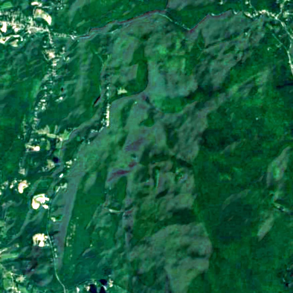 Green Mountain National Forest seen from above (Sentinel-2)