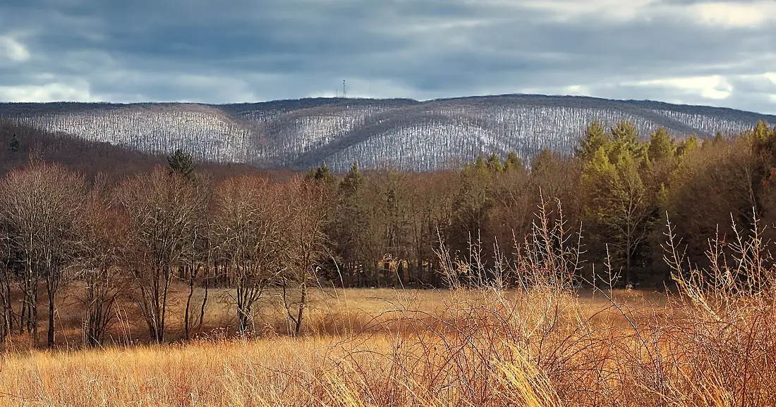 Nescopeck Creek Valley (8583932443)