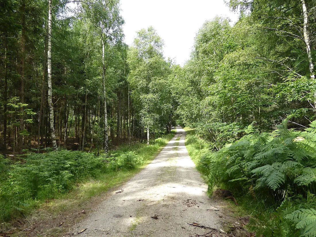 Gribskov - Nødebo-Ottevejskrydset path