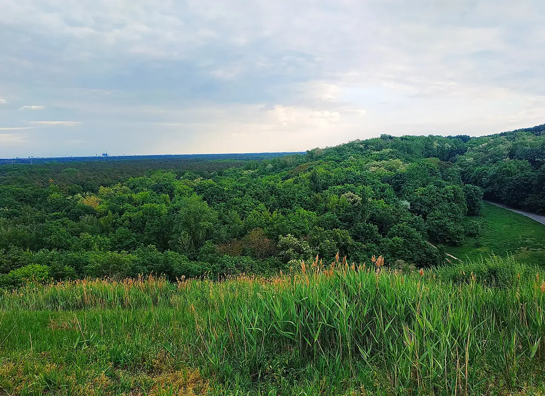 Ausblick Grunewald LSG-38