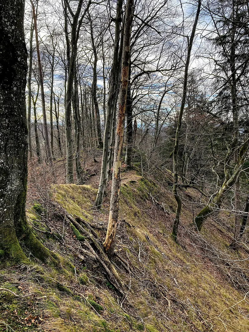 Horn (Grünwalder Forst)