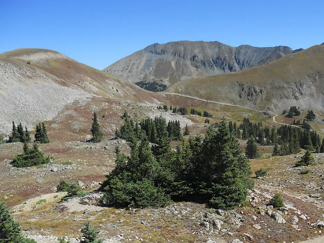 Tomichi Pass, Gunnison County, Colorado, USA