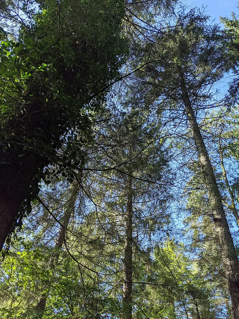 Betws-y-Coed 2019-09-14 05