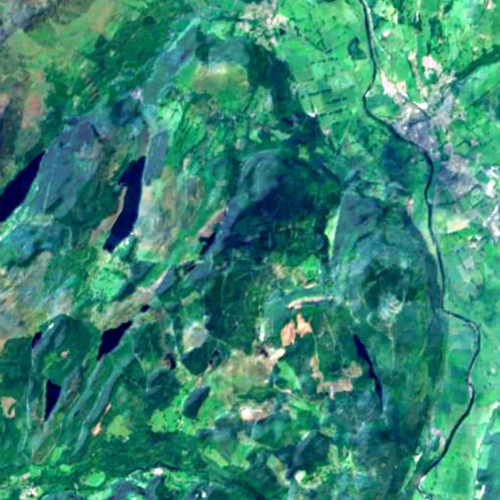 Gwydir Forest seen from above (Sentinel-2)