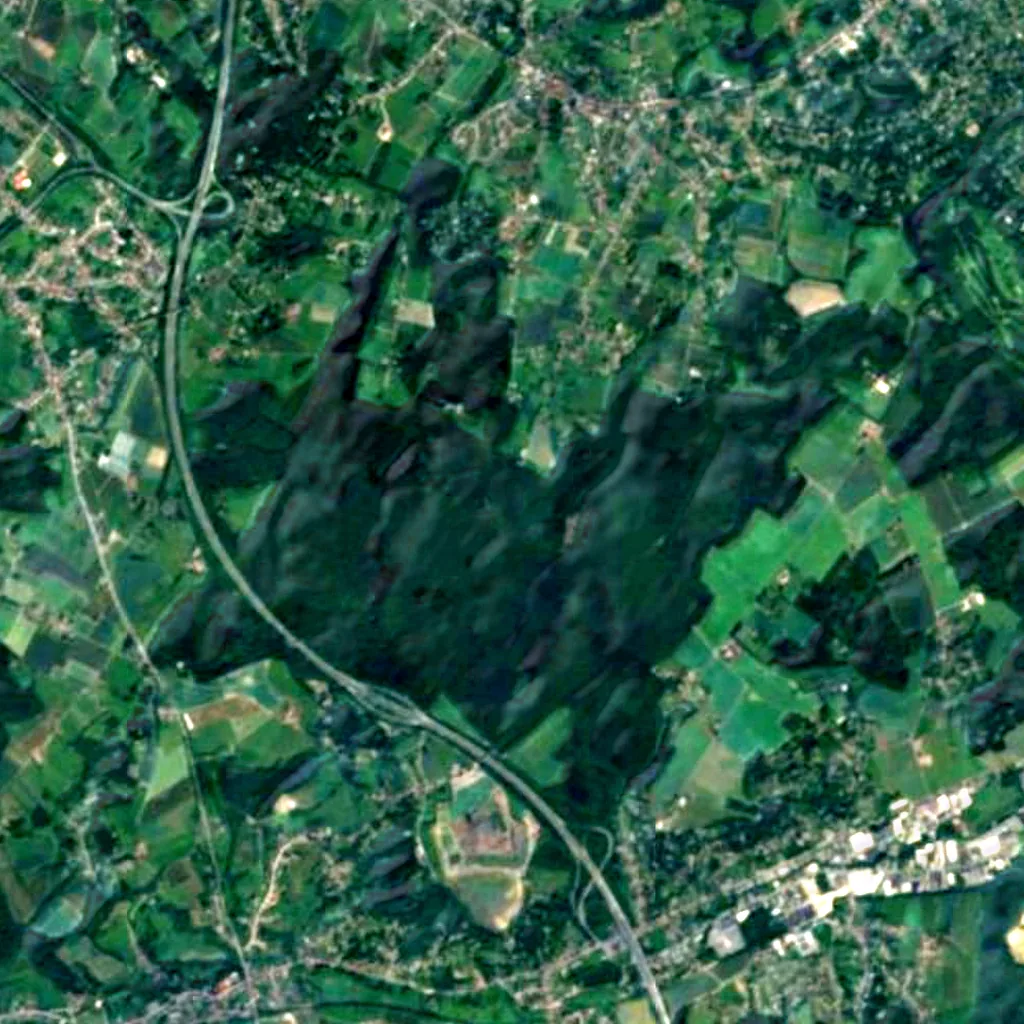 Halle Forest seen from above (Sentinel-2)