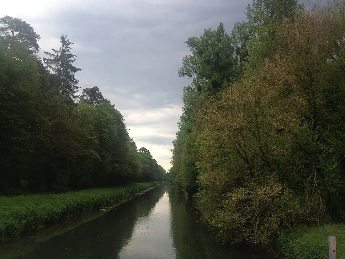 River Pfinz Karlsruhe Hardtwald