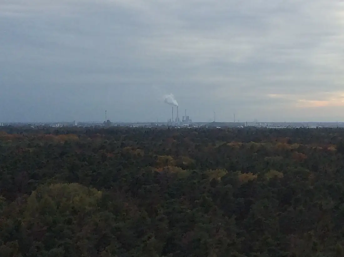 Karlsruhe Hardwald from above
