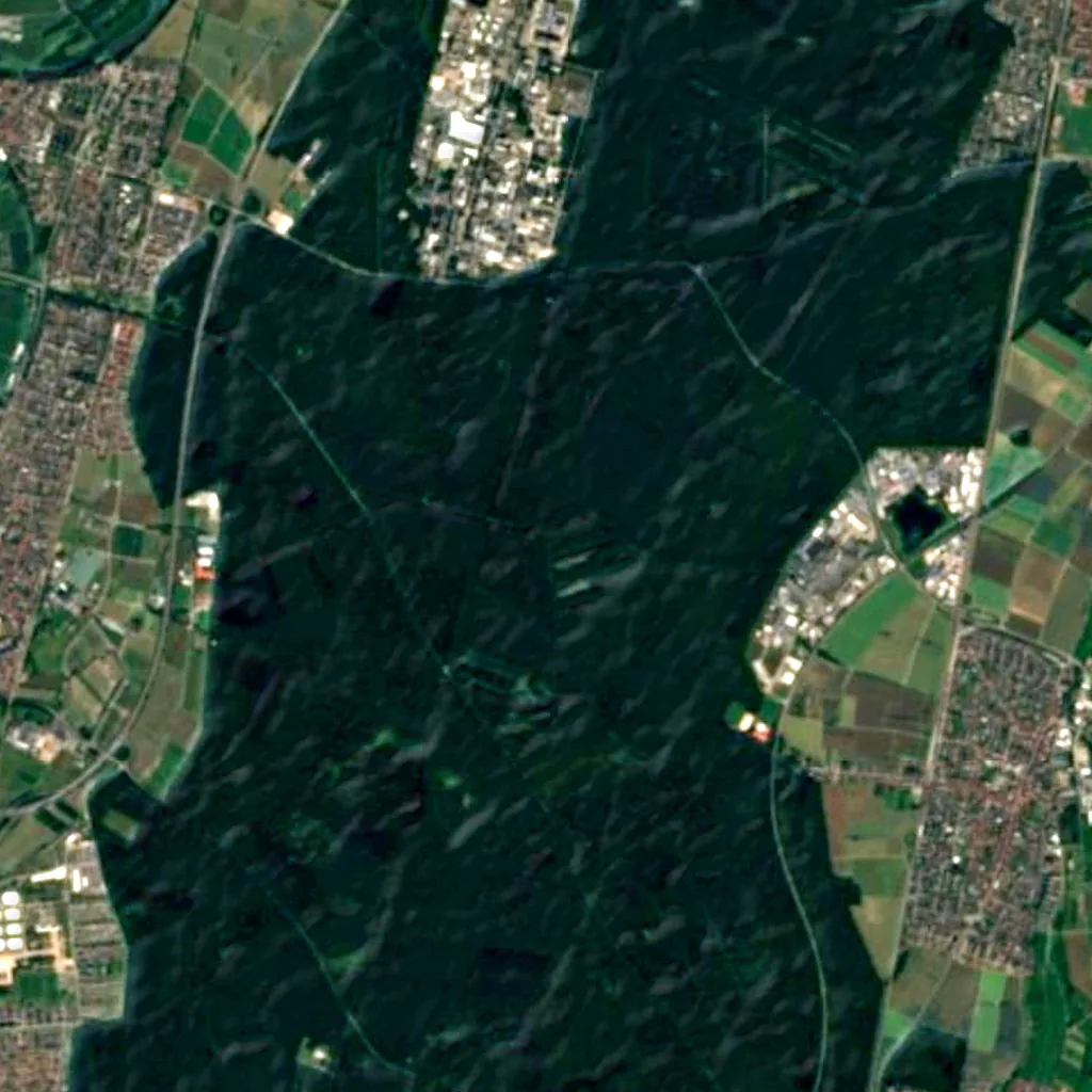 Hardtwald seen from above (Sentinel-2)