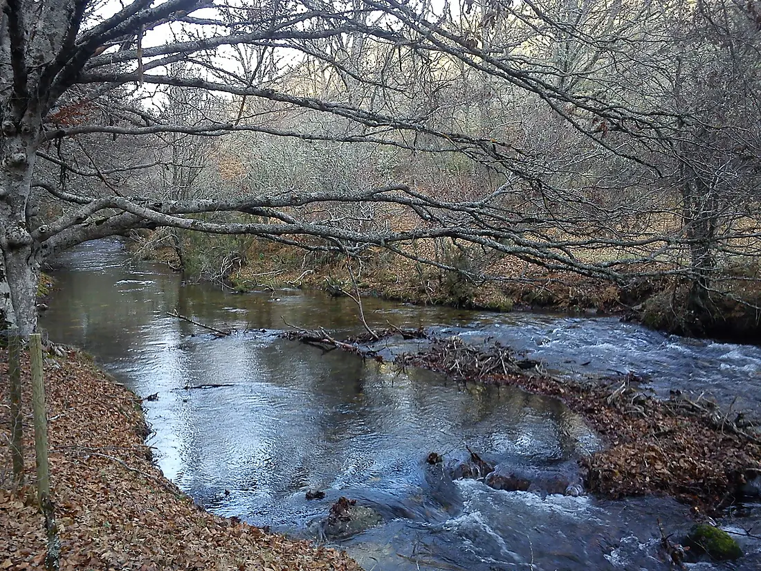 Paseo por el Hayedo de Montejo en invierno