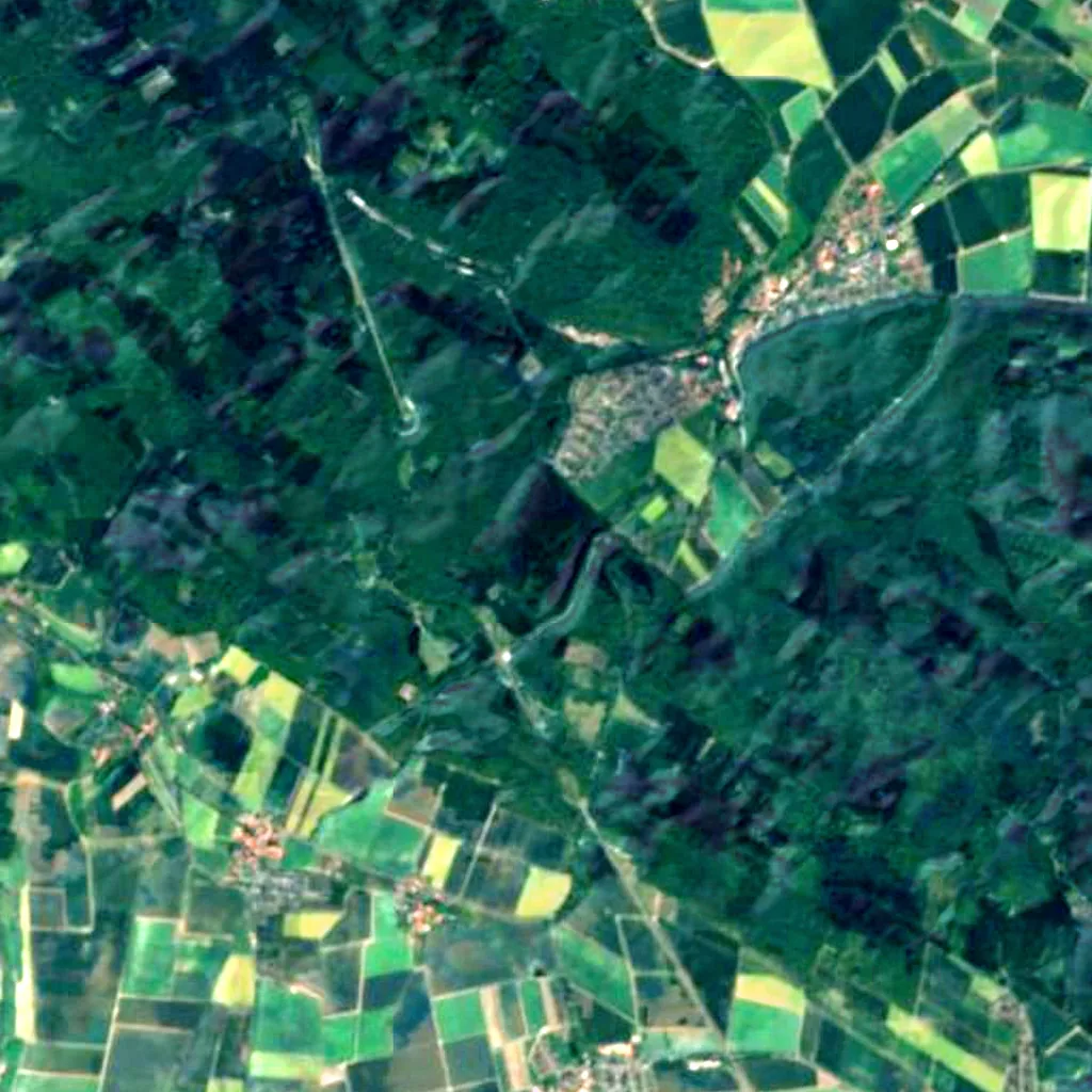 Hildesheim Forest seen from above (Sentinel-2)