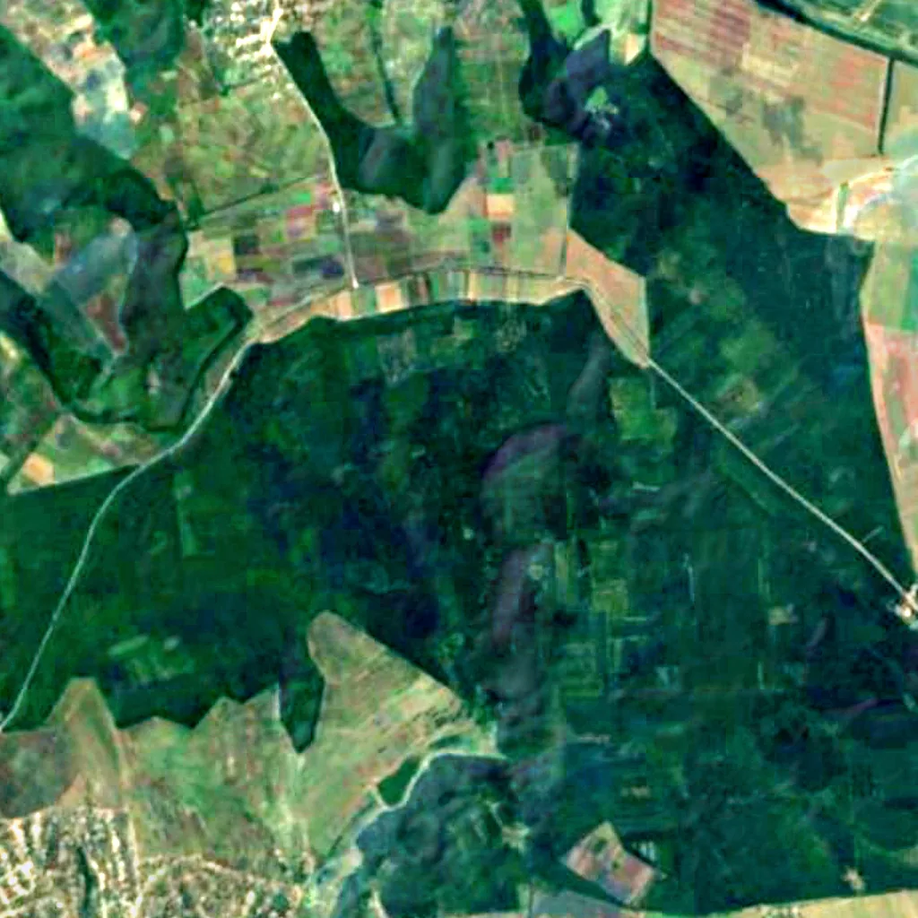 Hîrbovăț Forest seen from above (Sentinel-2)