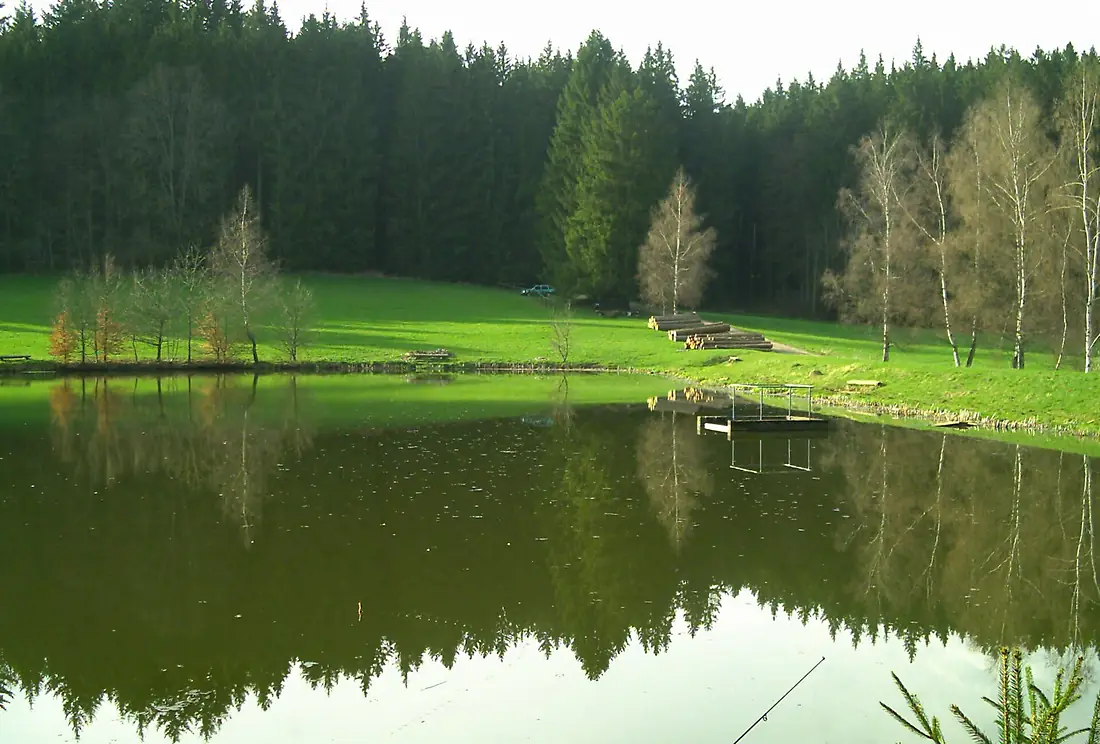 Daschora-Weiher051-b