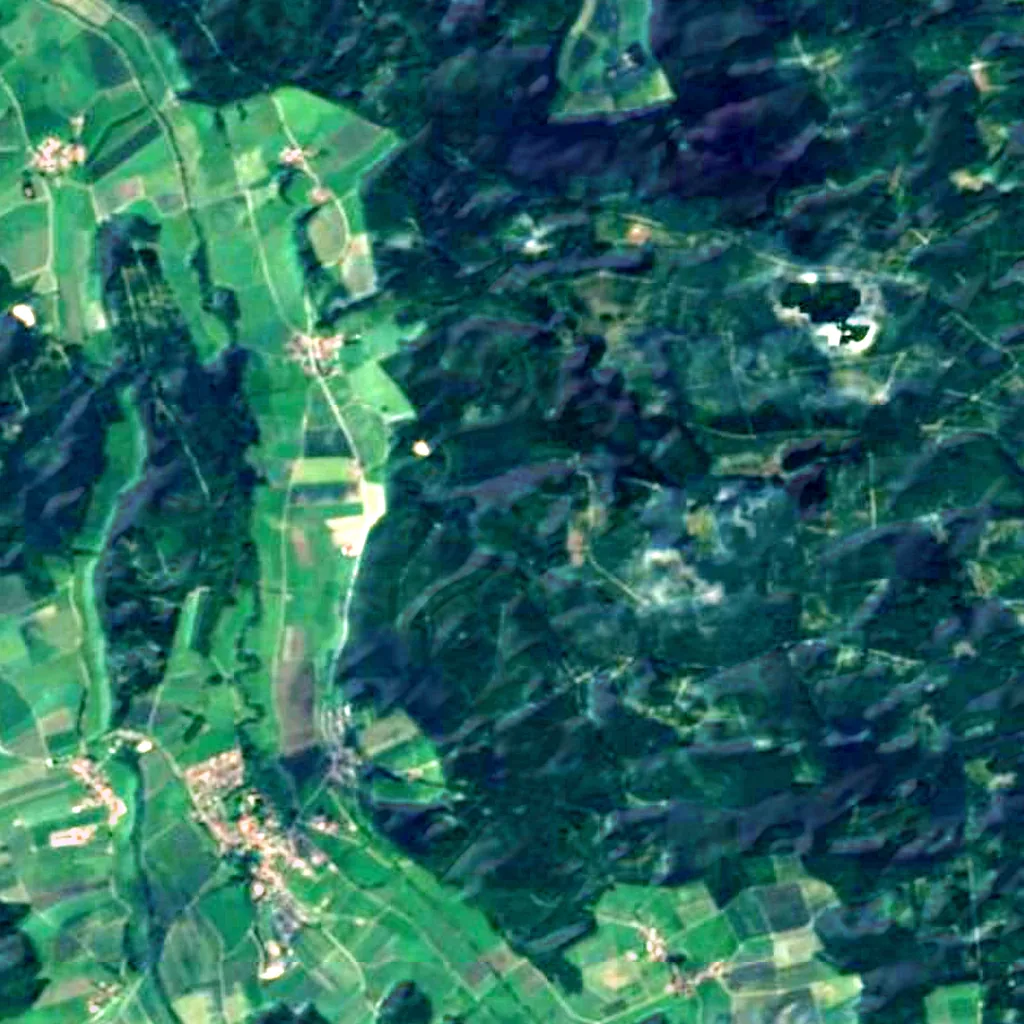 Holzstöcke seen from above (Sentinel-2)