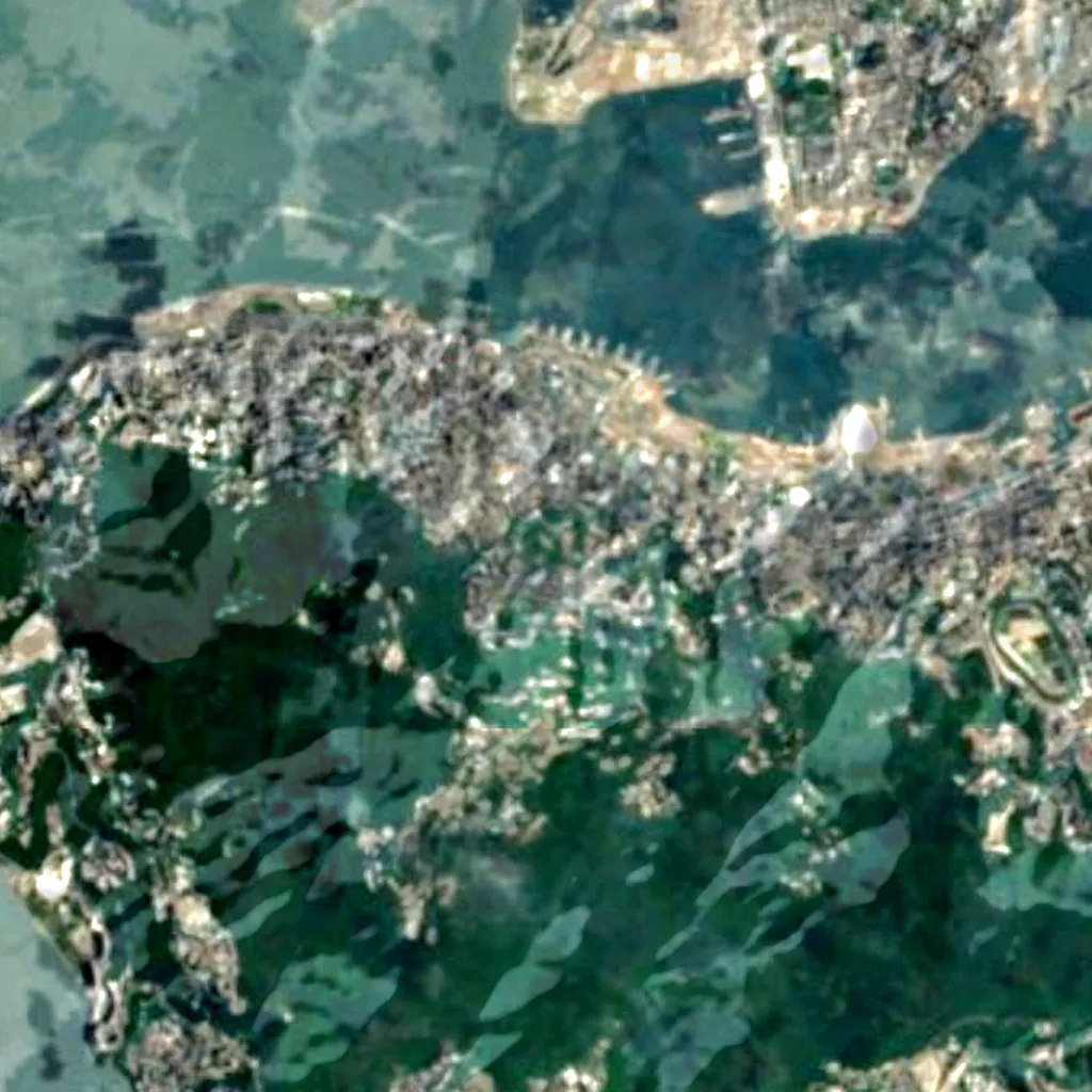 Hong Kong Zoological and Botanical Gardens seen from above (Sentinel-2)