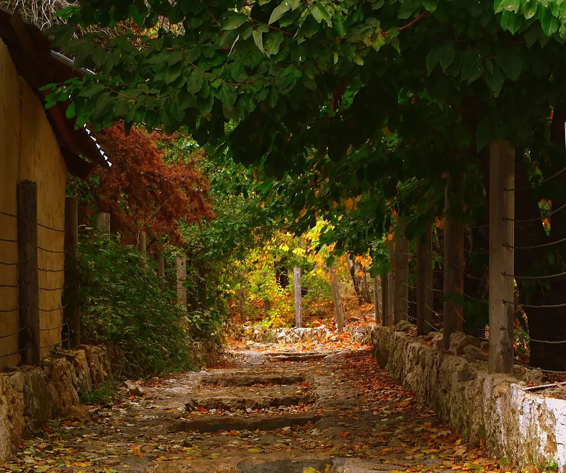 Ehden Nature Reserve's entrance