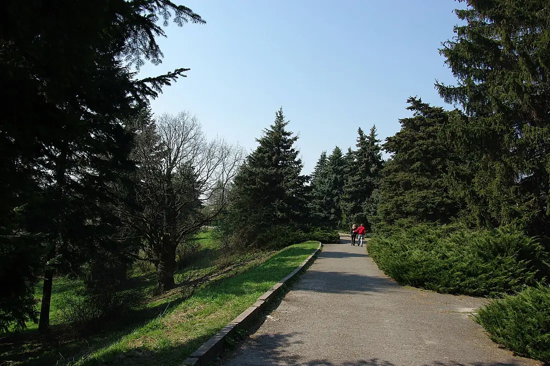 KyivBotGardenGryshko IMGP2639