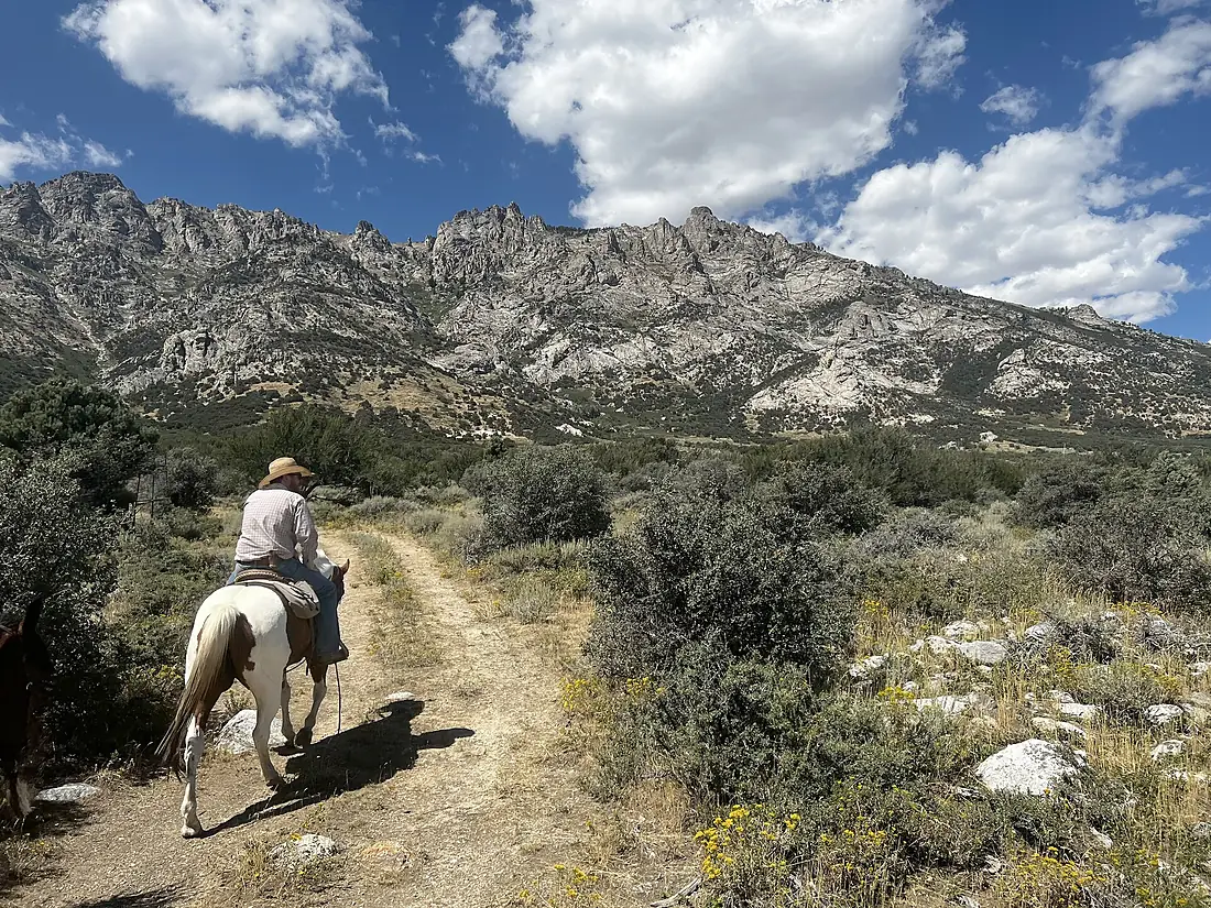 (Elko) Ruby Crest Trail Horseback Riding Recreation 1 (52636705716)
