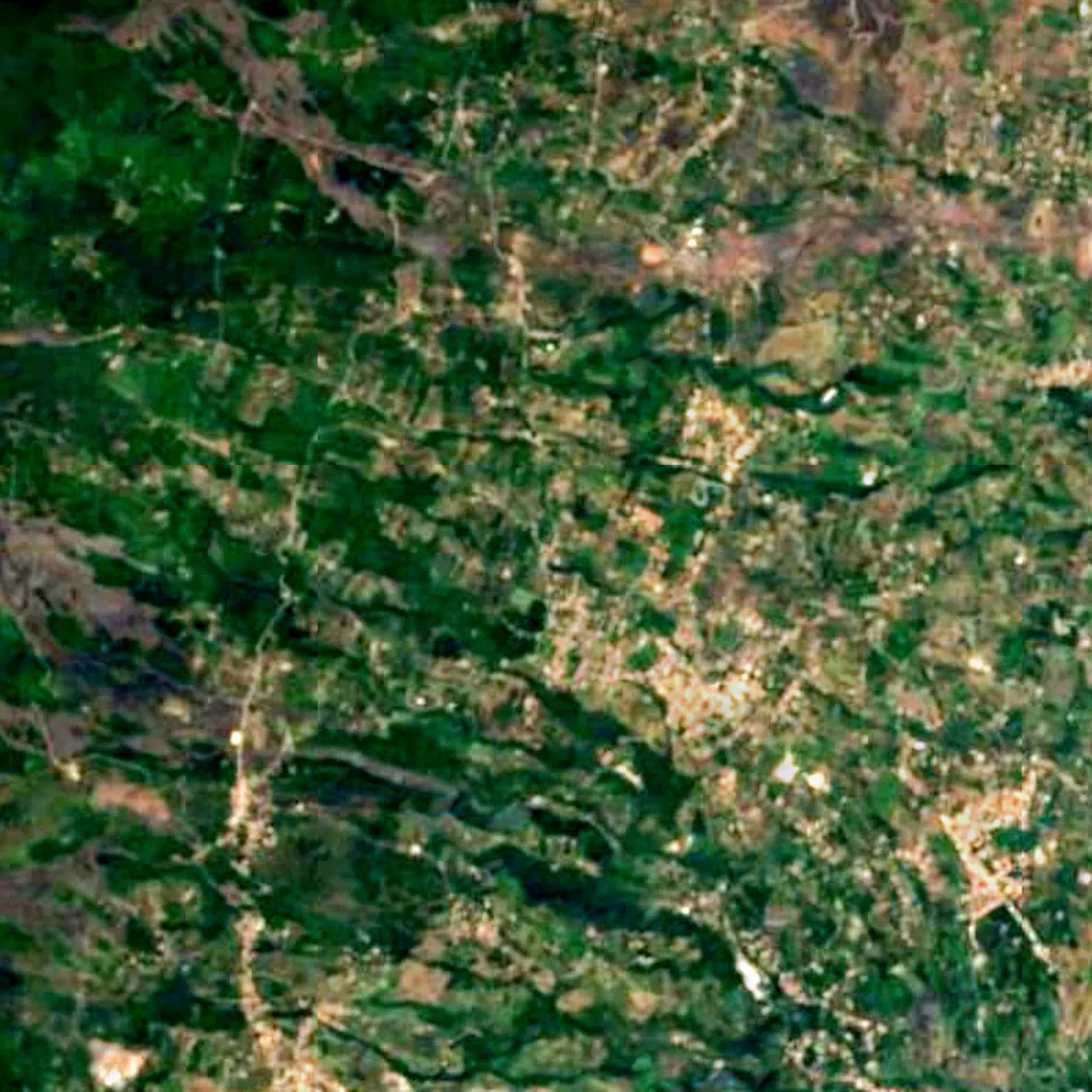 Hundred Horse Chestnut seen from above (Sentinel-2)