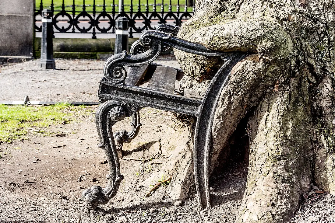 Hungry Tree at King’s Inns, Dublin-12930574313