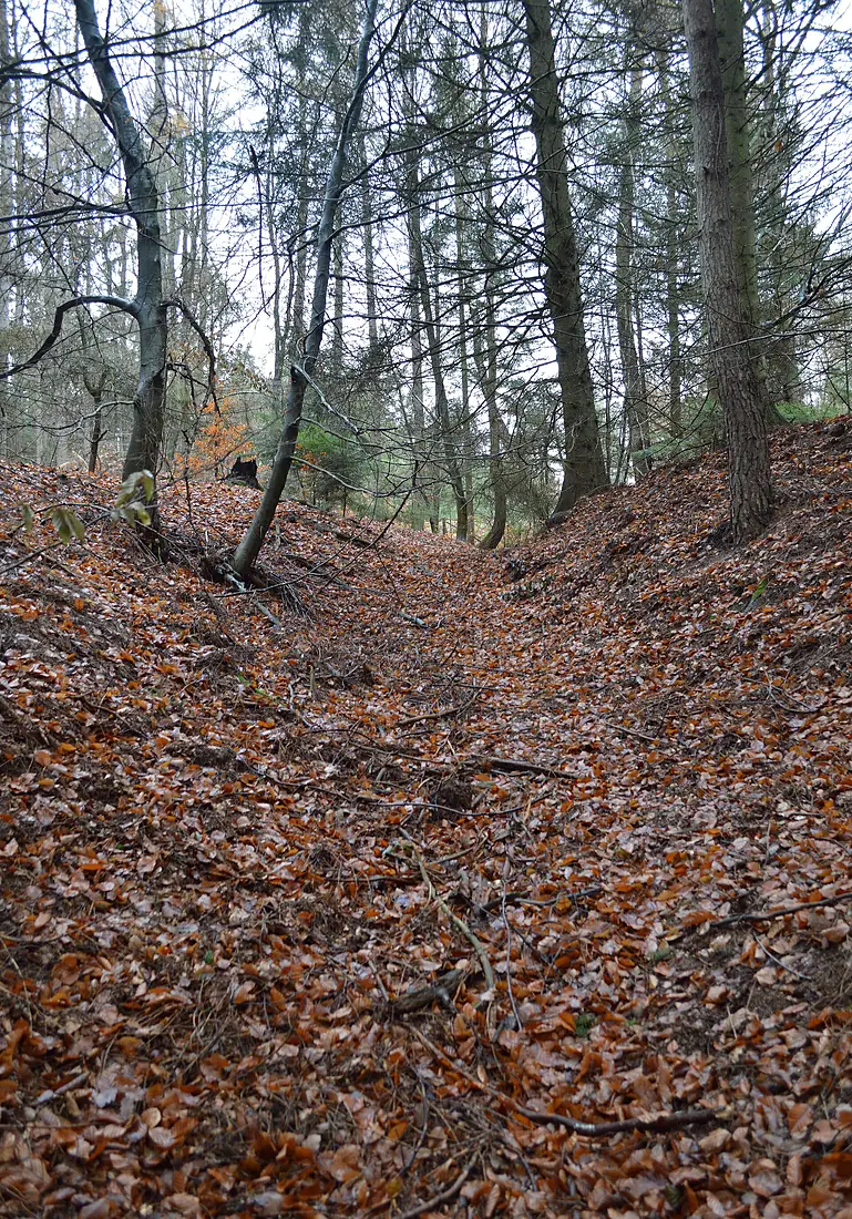 202012161333a Hürtgenwald