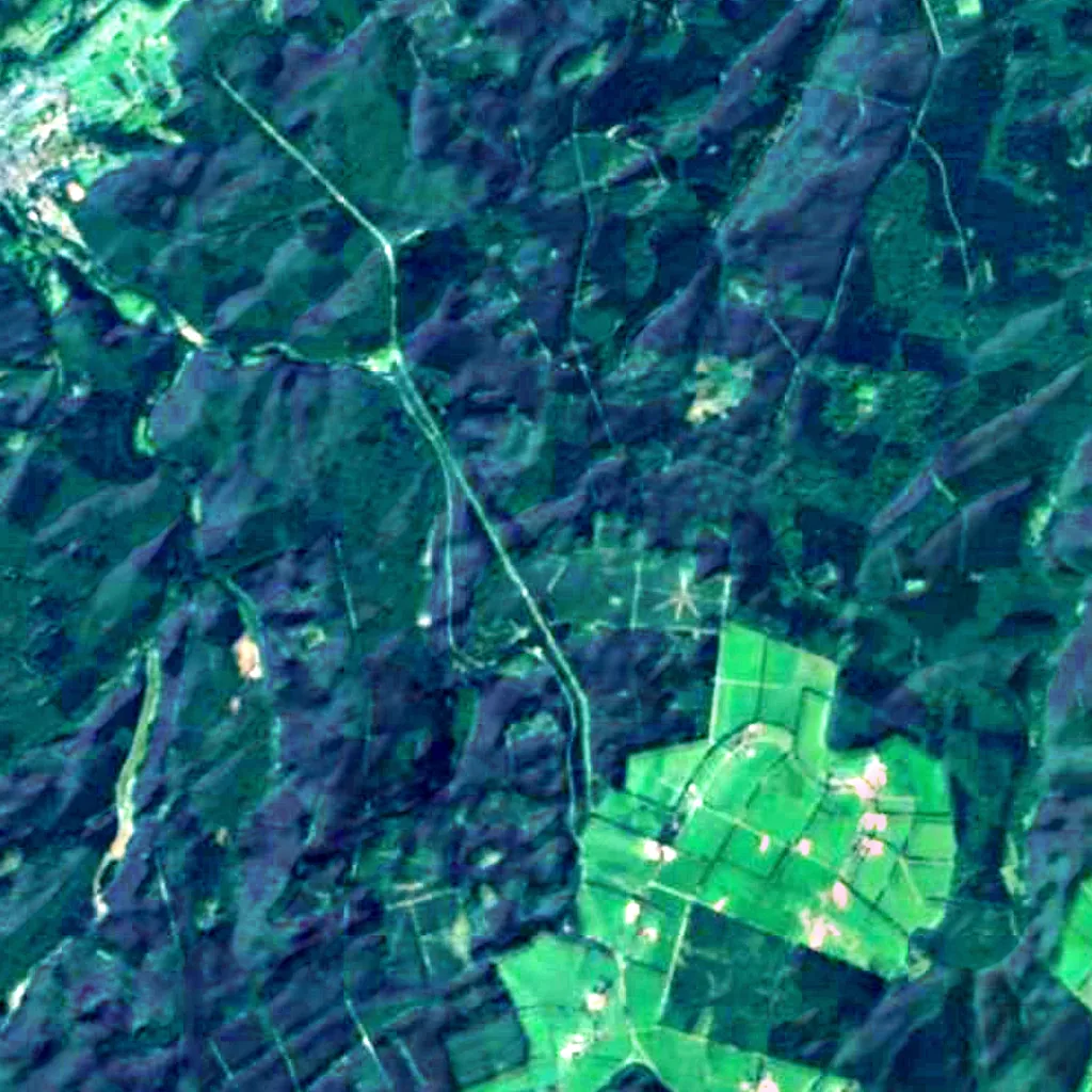 Hürtgen Forest seen from above (Sentinel-2)
