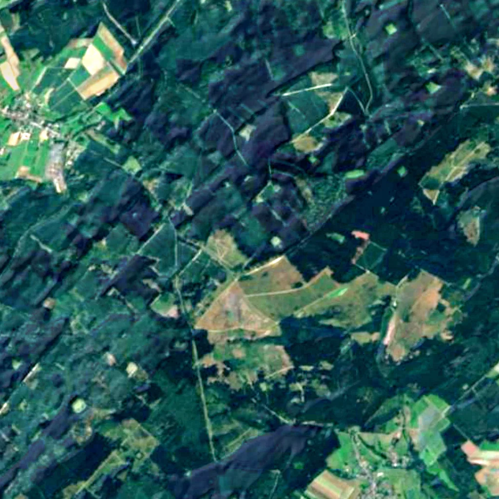 Idar Forest seen from above (Sentinel-2)
