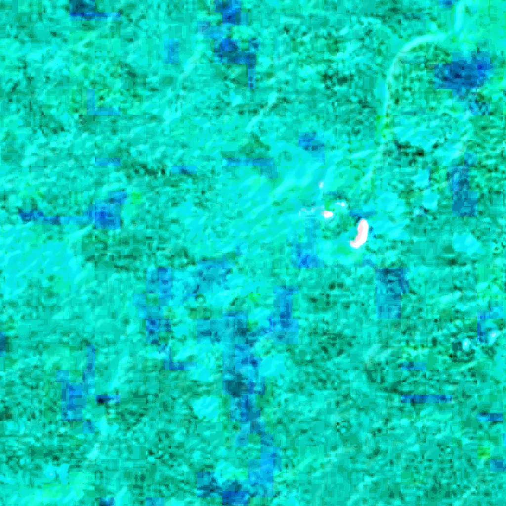 Iquiri National Forest seen from above (Sentinel-2)