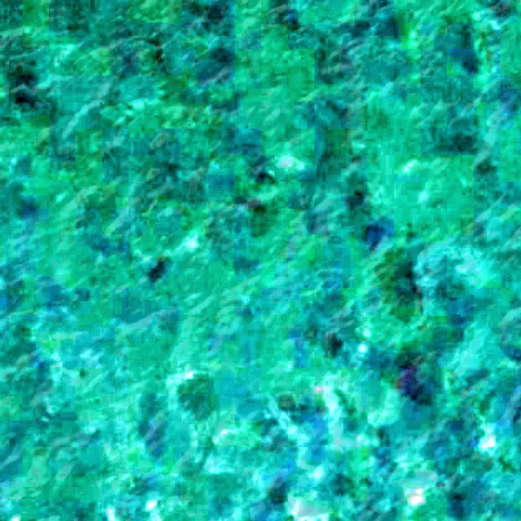 Ituri rainforest seen from above (Sentinel-2)